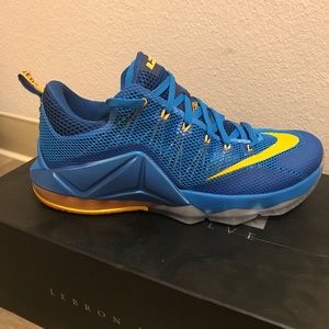 Lebron XII Low